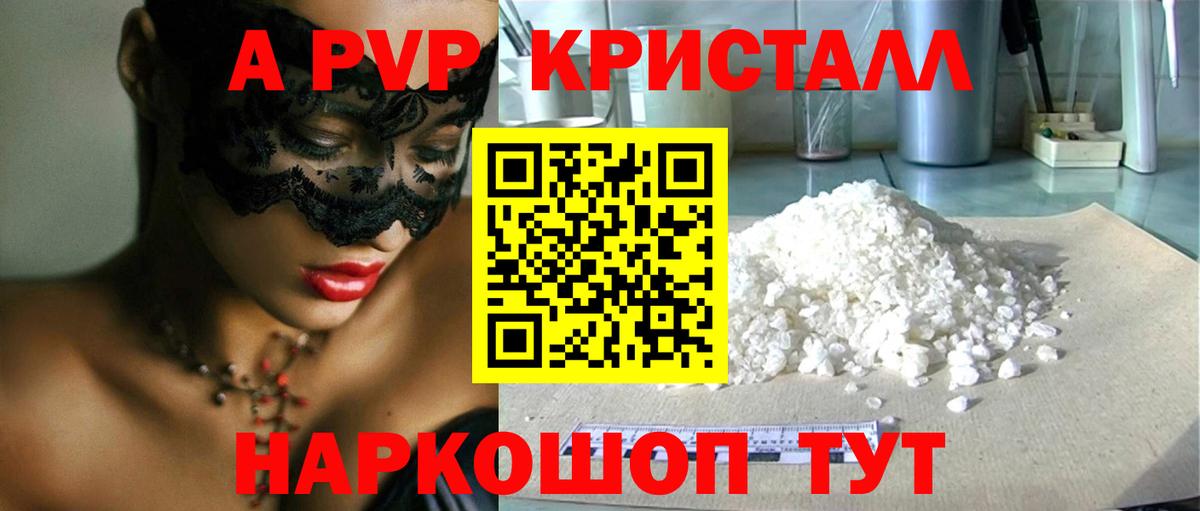 A PVP СК КРИС Вологда