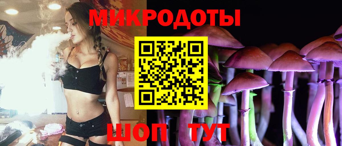 Вологда  Псилоцибиновые грибы мицелий  продажа наркотиков  Вход с VPN  Псилоцибиновые грибы мухоморы 
