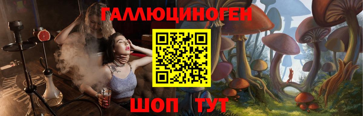 Псилоцибиновые грибы Cubensis Вологда